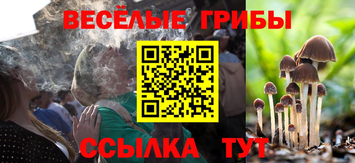Псилоцибиновые грибы Psilocybe  Вход с VPN  Гагарин 